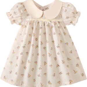 Light Blue Puff Sleeve Baby Dress with White Peter Pan Collar - Image 10