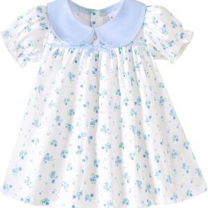 Light Blue Puff Sleeve Baby Dress with White Peter Pan Collar - Image 8